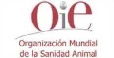 oe